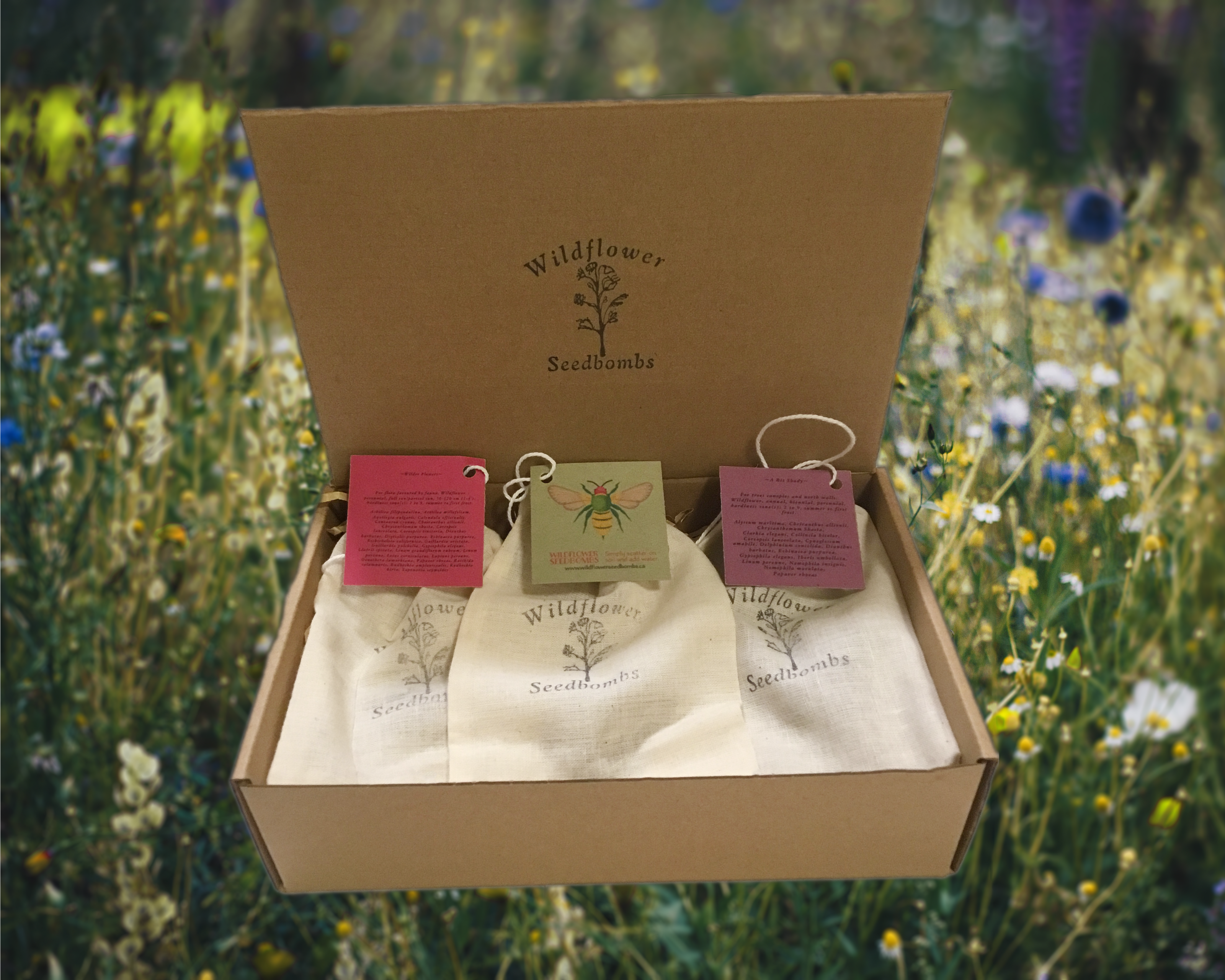 Box with three wildflower seedbomb product bags displayed