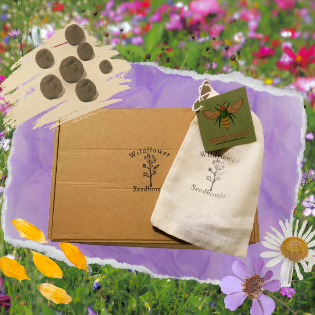Beloved by Bees and Other Pollinators