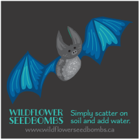 Wildflower Seedbombs Gift Card