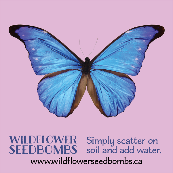 Wildflower Seedbombs Gift Card