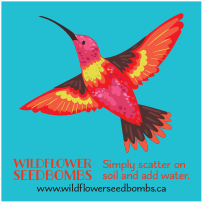 Wildflower Seedbombs Gift Card