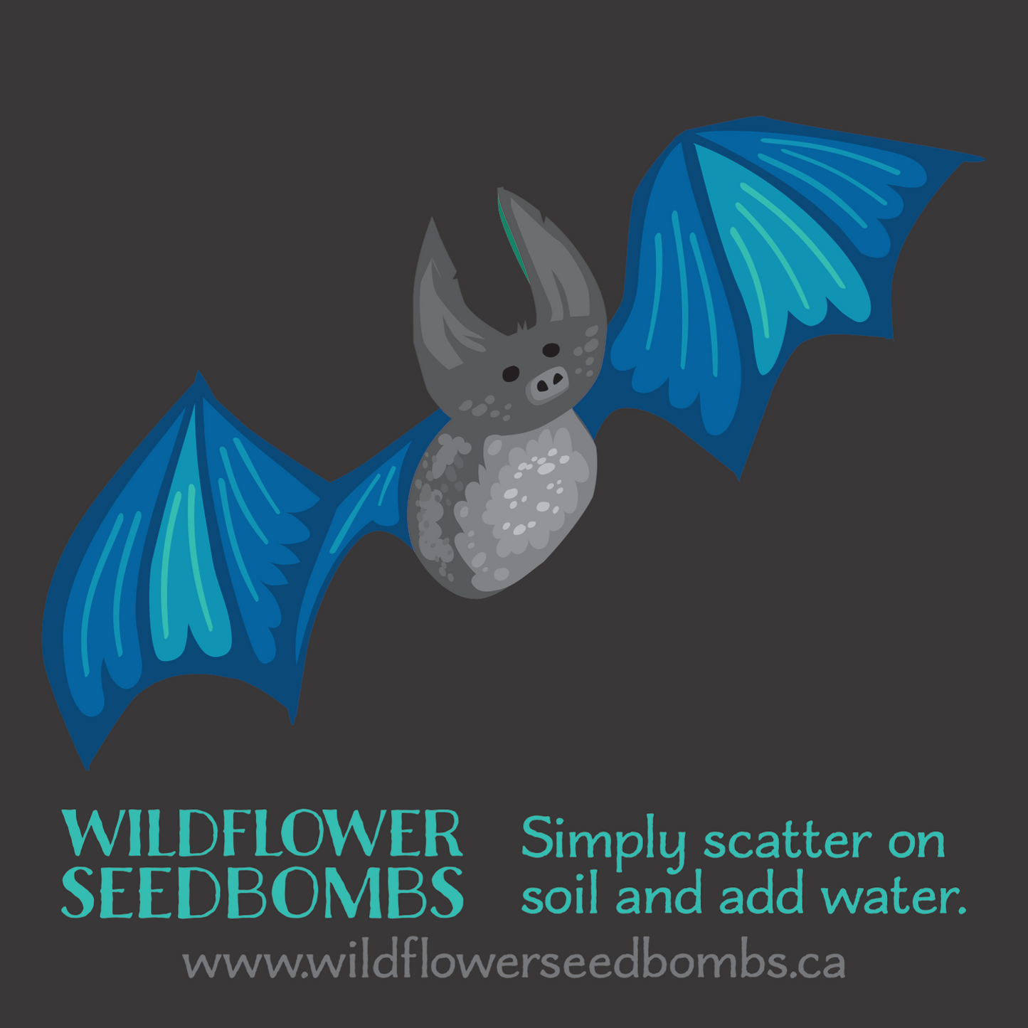 Illustration of a bat with blue wings on a charcoal grey background. Text in blue below: WILDFLOWER SEEDBOMBS Simply scatter on soil and add water. Text in grey at the bottom: www.wildflowerseedbombs.ca