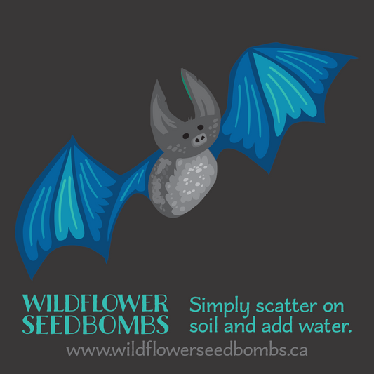 Illustration of a bat with blue wings on a charcoal grey background. Text in blue below: WILDFLOWER SEEDBOMBS Simply scatter on soil and add water. Text in grey at the bottom: www.wildflowerseedbombs.ca