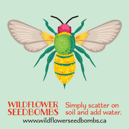 Illustration of a colourful bee on a pastel green background. Text in red below: WILDFLOWER SEEDBOMBS Simply scatter on soil and add water. Text in black at the bottom: www.wildflowerseedbombs.ca