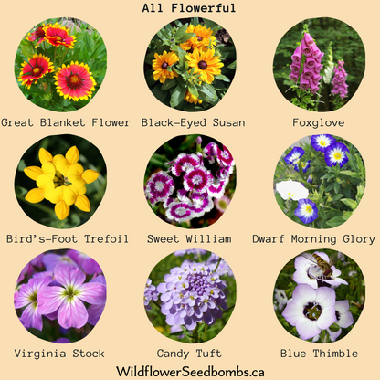 All Flowerful-One of Our Best Collection of Seeds