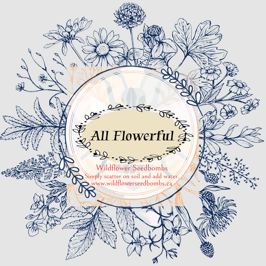 All Flowerful-One of Our Best Collection of Seeds